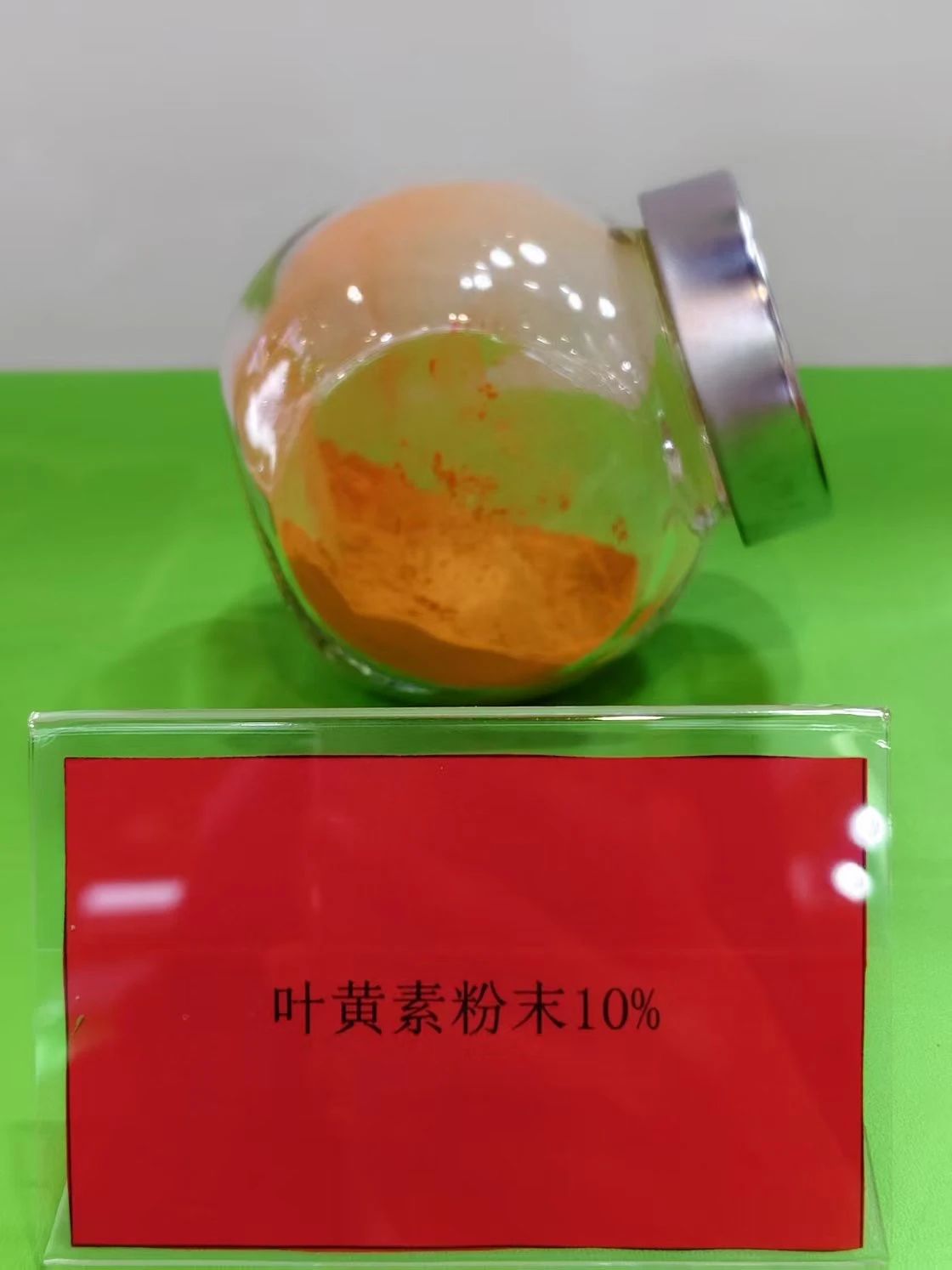 大港澳安卓下载