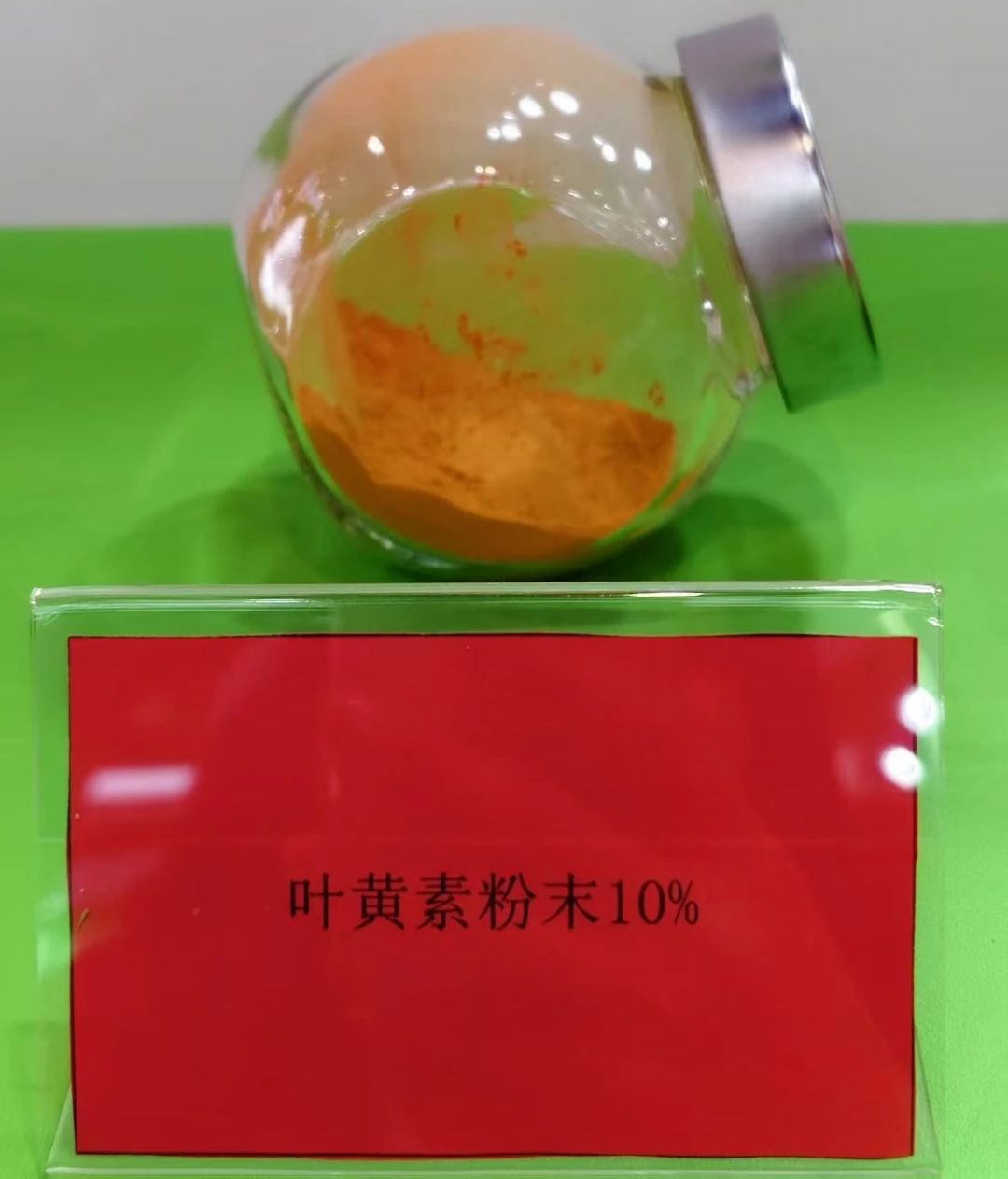 大港澳安卓下载